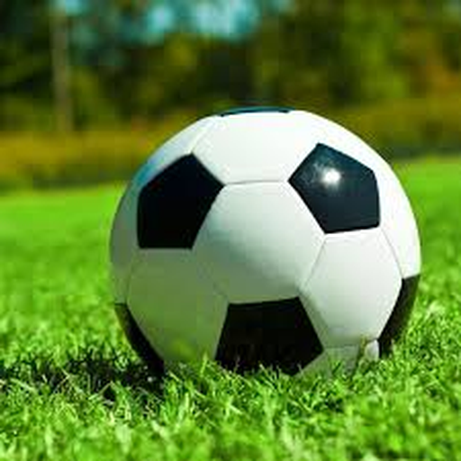 2026世界杯(WorldCup)官方指定网站 Logo